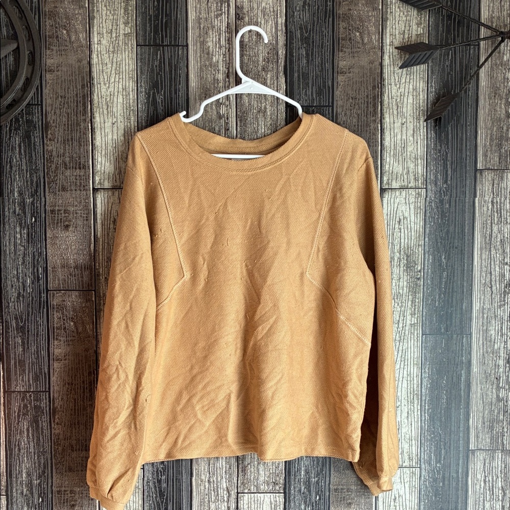 Wonderly Women's Camel Long Sleeve Top